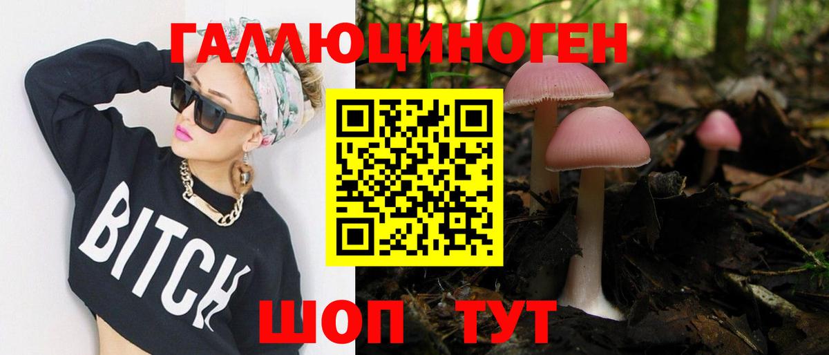 Псилоцибиновые грибы ЛСД Асино
