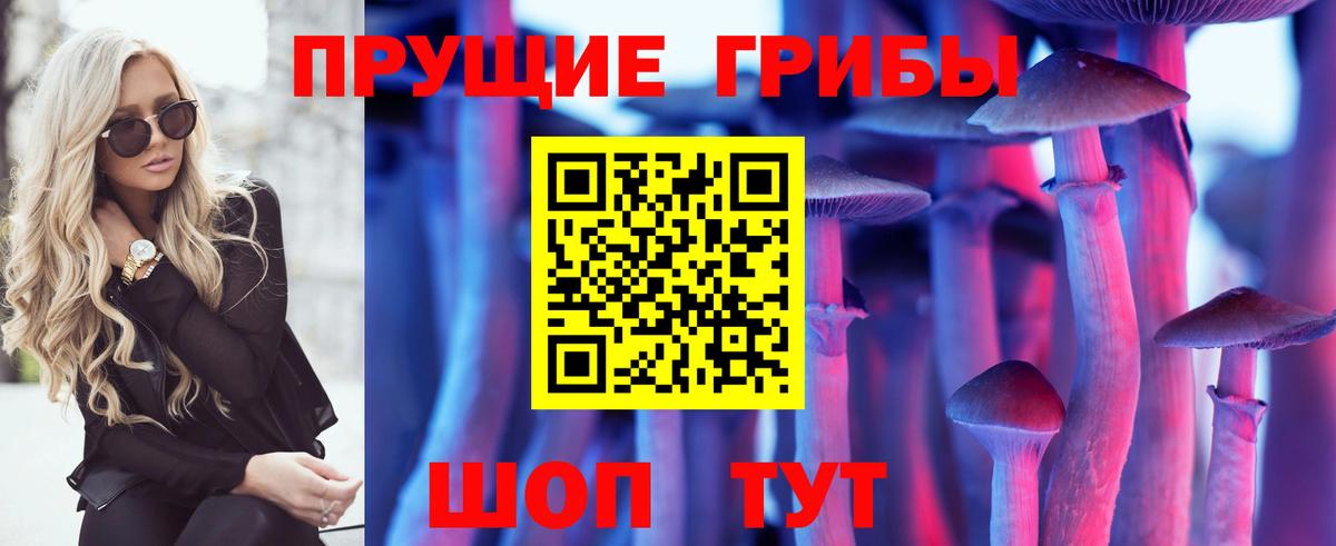 Асино  Галлюциногенные грибы Psilocybine cubensis  Вход с VPN 